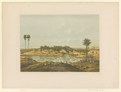 Widok na krajobraz w pobliżu Semarang Północne wybrzeże w Semarang (tytuł na obiekcie) autorstwa Carl Wilhelm Mieling (possibly)