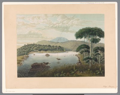 Widok na jezioro Patenggang na Jawie autorstwa Carl Wilhelm Mieling (possibly)