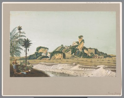 Wapień na Jawie autorstwa Carl Wilhelm Mieling (possibly)