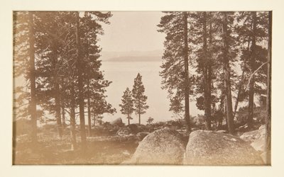 Cztery sceny kolejowe i cztery widoki na jezioro Tahoe: jezioro Tahoe z ciepłych źródeł autorstwa Carleton E. Watkins