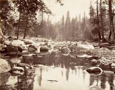 Rzeka Merced, ca. 1872, wydrukowany ca. 1876. autorstwa Carleton E. Watkins.
