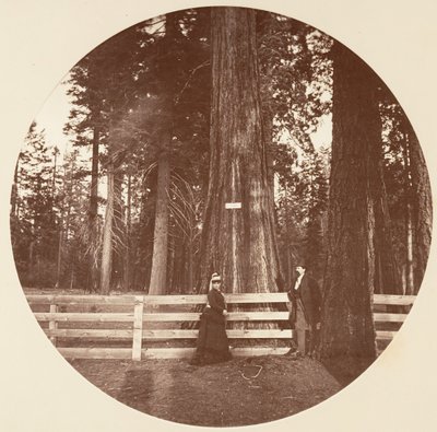 Auld Reckie. C. Gaj, ca. 1878. autorstwa Carleton Emmons Watkins