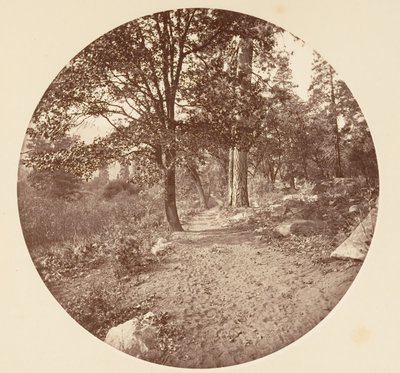 W Dolinie Yosemite, ca. 1878. autorstwa Carleton Emmons Watkins
