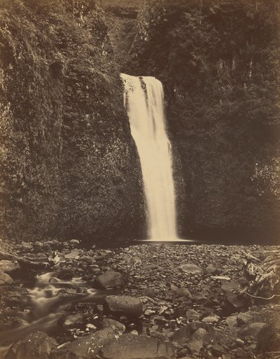 Wodospad Lower Multnomah, rzeka Columbia, 1867 (zdjęcie) autorstwa Carleton Emmons Watkins