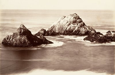 Seal Rocks, 1868-69, druk ok. 1876. autorstwa Carleton Emmons Watkins