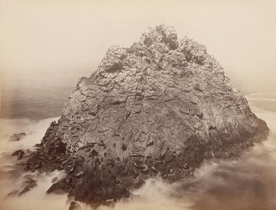 Wyspy Sugar Loaf, Farallons, 1868-69. autorstwa Carleton Emmons Watkins