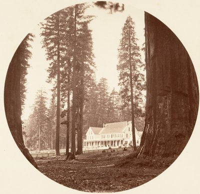 WC Bryant - Calaveras Grove, ca. 1878. autorstwa Carleton Emmons Watkins