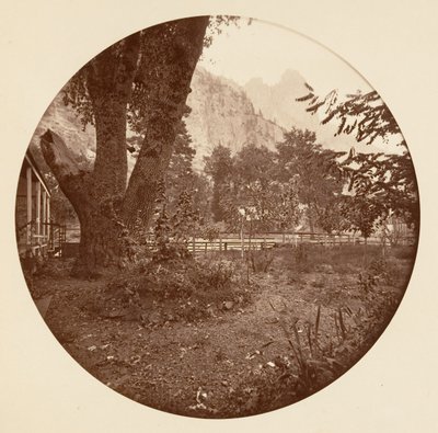 [Park Narodowy Yosemite, Kalifornia], ca. 1878. autorstwa Carleton Emmons Watkins
