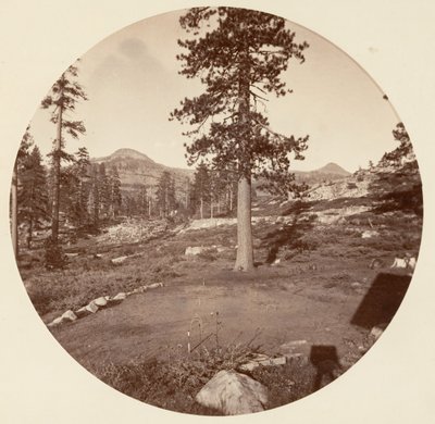 [Park Narodowy Yosemite, Kalifornia], ca. 1878. autorstwa Carleton Emmons Watkins