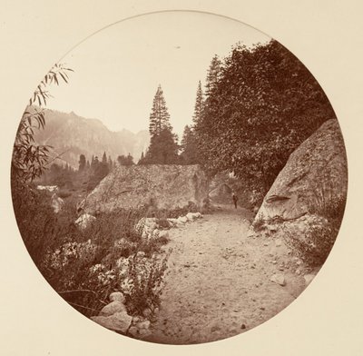 [Park Narodowy Yosemite, Kalifornia], ca. 1878. autorstwa Carleton Emmons Watkins