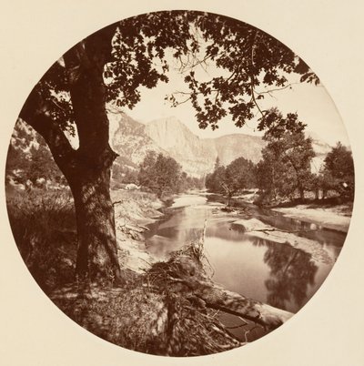 [Park Narodowy Yosemite, Kalifornia], ca. 1878. autorstwa Carleton Emmons Watkins