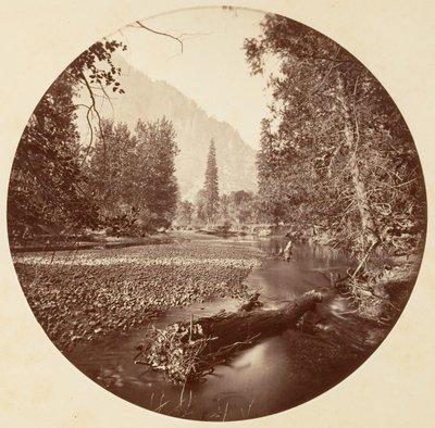 [Park Narodowy Yosemite, Kalifornia], ca. 1878. autorstwa Carleton Emmons Watkins