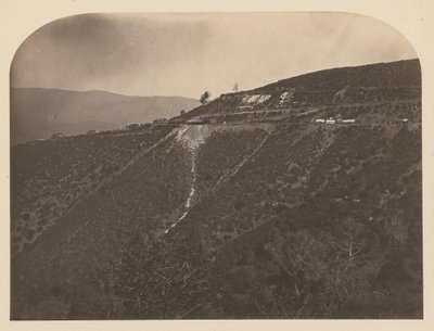 (Kopalnia Sosny) autorstwa Carleton Watkins