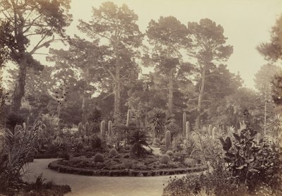  autorstwa Carleton Watkins