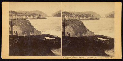 Wielki Młyn Rzeczny z Pt autorstwa Carleton Watkins