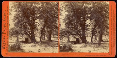 Domek w Camp Grove, Yosemite Valley, Mariposa County, Ca autorstwa Carleton Watkins