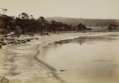  autorstwa Carleton Watkins
