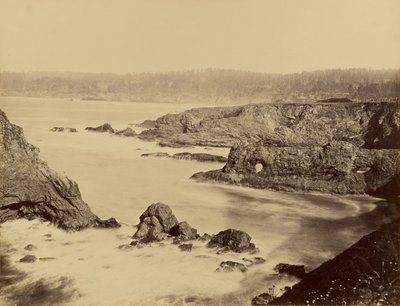 [Widok wybrzeża Mendocino] autorstwa Carleton Watkins