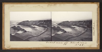 Widok na wybrzeże od Mendocino autorstwa Carleton Watkins
