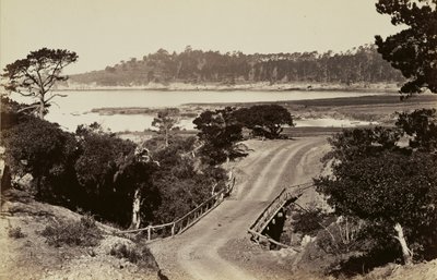 [Widok wybrzeża w pobliżu Monterey] autorstwa Carleton Watkins