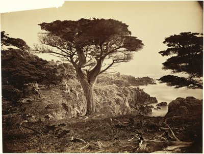  autorstwa Carleton Watkins