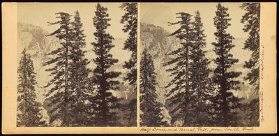 Half Dome i Vernal Fall, z South Fork autorstwa Carleton Watkins