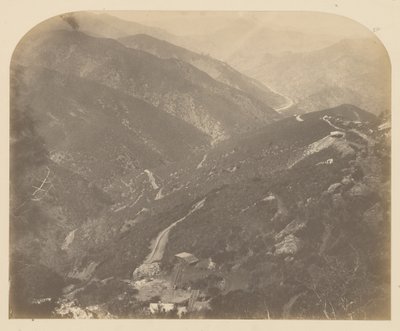 [Josephine i Pine Tree] autorstwa Carleton Watkins