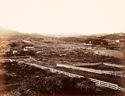 [Samotna góra, z sierocińca]. autorstwa Carleton Watkins