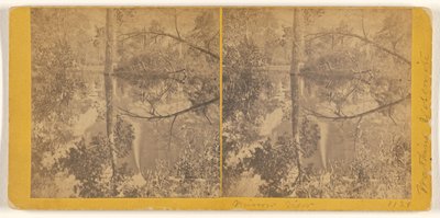 [Widok w lustrze, dolina Yosemite, hrabstwo Mariposa, Kalifornia]. autorstwa Carleton Watkins