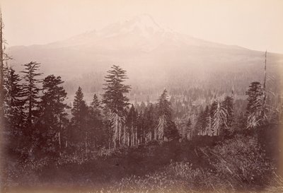  autorstwa Carleton Watkins