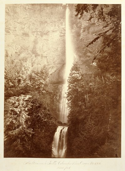  autorstwa Carleton Watkins