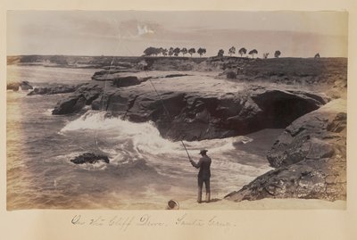  autorstwa Carleton Watkins