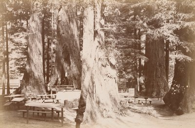  autorstwa Carleton Watkins