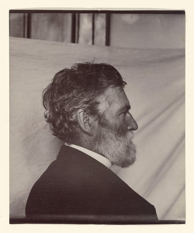  autorstwa Carleton Watkins