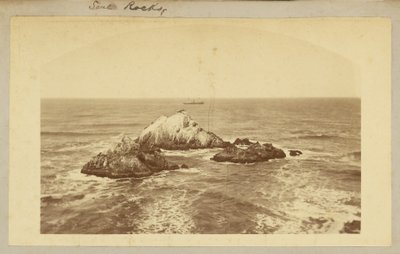 Seal Rocks. autorstwa Carleton Watkins