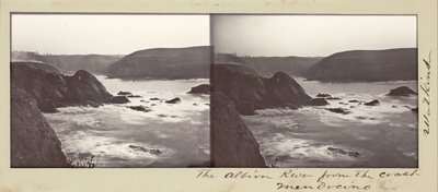 Rzeka Albion z wybrzeża, Mendocino autorstwa Carleton Watkins