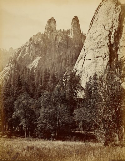  autorstwa Carleton Watkins