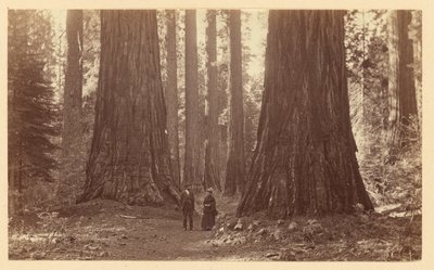  autorstwa Carleton Watkins