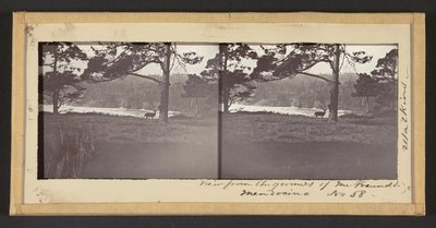Widok z terenu pana Freundta, Mendocino autorstwa Carleton Watkins