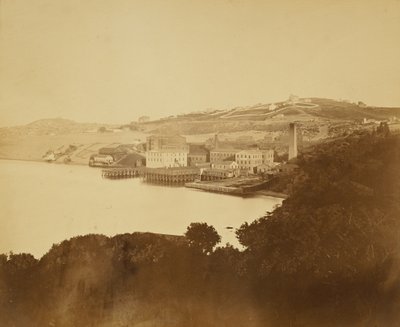  autorstwa Carleton Watkins