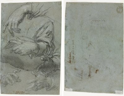 Badania rąk (rekto); Szkic głowy dziecka (verso) autorstwa Carletto Caliari