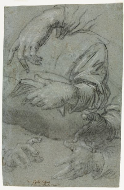 Studia rąk prosto, Szkic głowy dziecka verso, ok. 1930. 1586. autorstwa Carletto Caliari