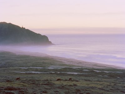 Big Sur, 2014 r. autorstwa Carli Choi