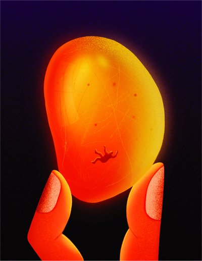 Amber, 2020 (ilustracja cyfrowa) autorstwa Carlo Alberto Giardina