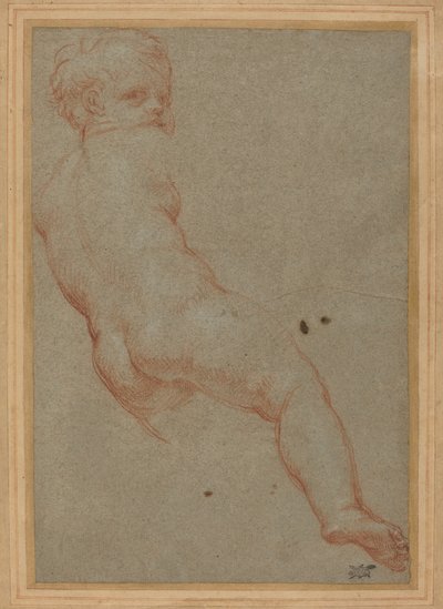 Studium młodego chłopca autorstwa Carlo Maratta