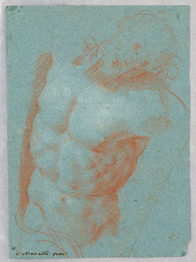Rysunek przedstawiający tors martwego Chrystusa, 1650-1700 autorstwa Carlo Maratti