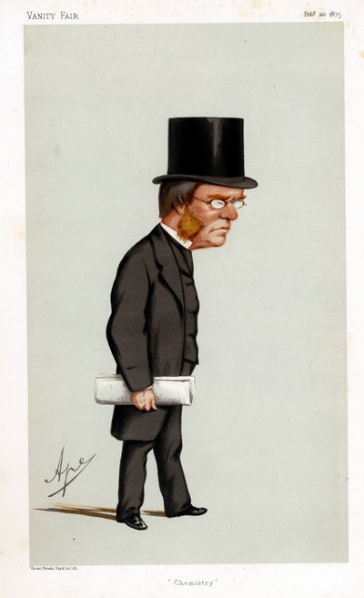 Lyon Playfair, szkocki chemik, polityk i administrator, 1875 autorstwa Carlo Pellegrini