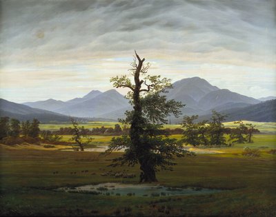 Samotne drzewo autorstwa Caspar David Friedrich