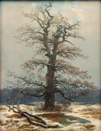 Dąb na śniegu autorstwa Caspar David Friedrich