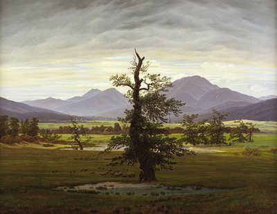 Samotne drzewo autorstwa Caspar David Friedrich